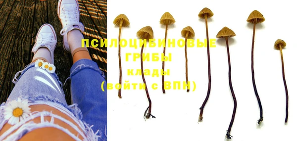 дживик Иннополис