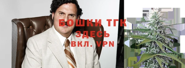 гидра Магас