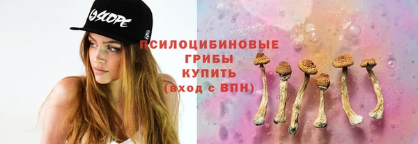 ГАЛЛЮЦИНОГЕННЫЕ ГРИБЫ Инта